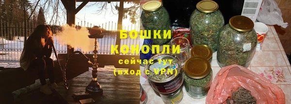 гидропоника Горняк