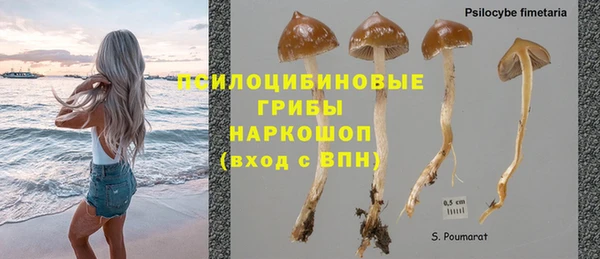 2c-b Верхний Тагил