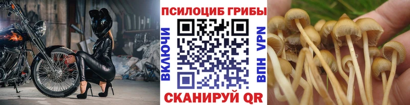 Галлюциногенные грибы MAGIC MUSHROOMS Кирсанов