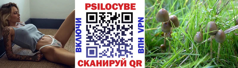 Псилоцибиновые грибы ЛСД  Купить где  Кирсанов 