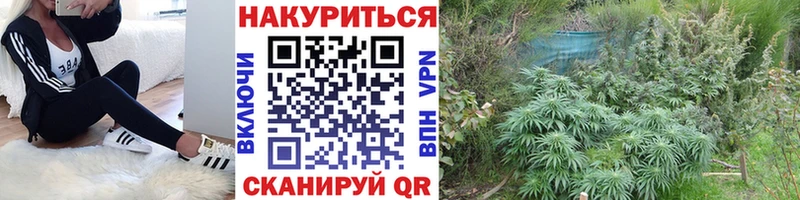Купить закладки Кирсанов Конопля OG Kush